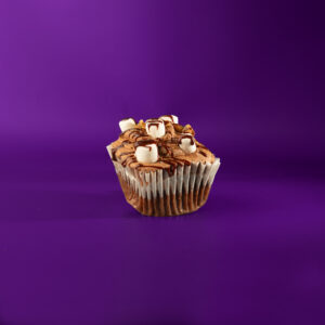 Mississippi Mud cupcake