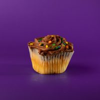 A vanilla cupcake with chocolate buttercream and seasonal sprinkles. Vanilla Chocolate cupcake